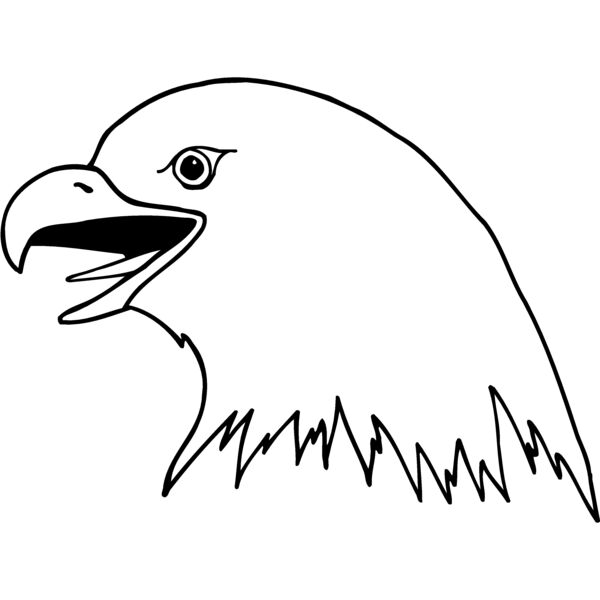 EAGLE41 Thumbnail