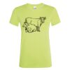 SOL'S Ladies Regent T-Shirt Thumbnail