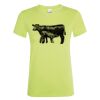 SOL'S Ladies Regent T-Shirt Thumbnail